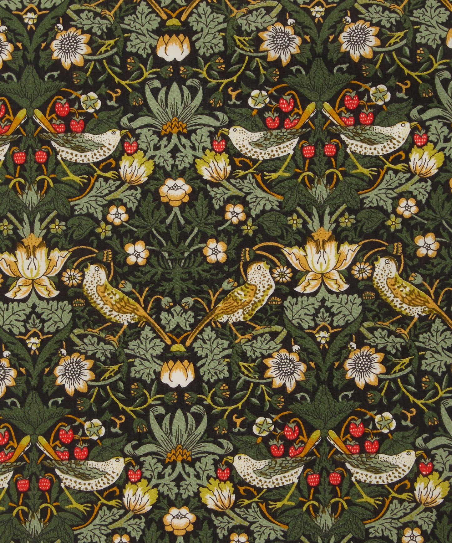 Liberty London - Tana Lawns - Strawberry Thief - 03635061N - Half Yard