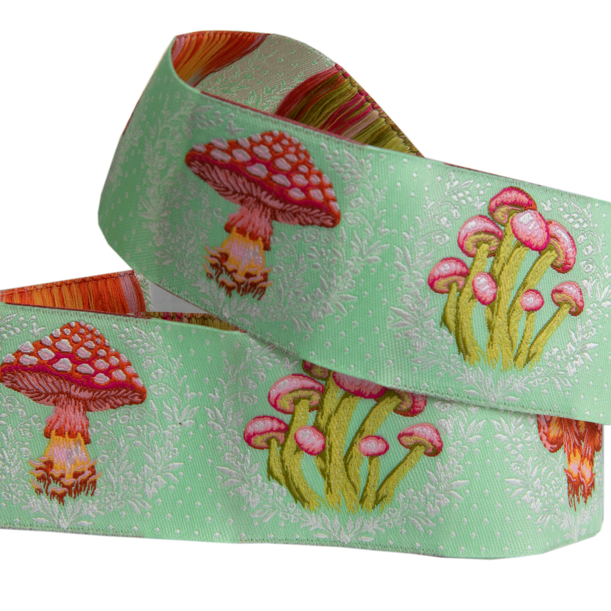 Down to Earth - Morel Support in Afterglow - 1-1/2" width - by Tula Pink - One Yard (Preorder)