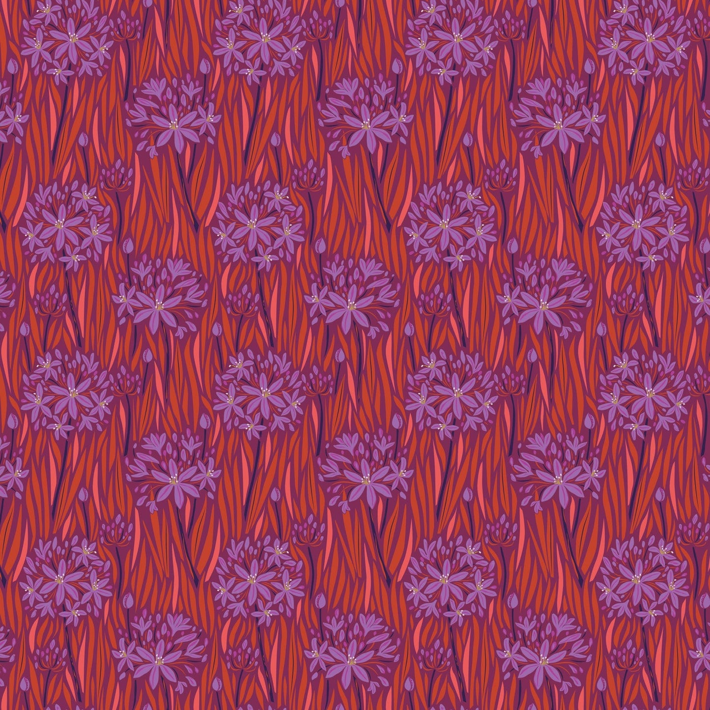 Wandering Eye - Agapantha in Warm - Kathy Doughty - 91066-56