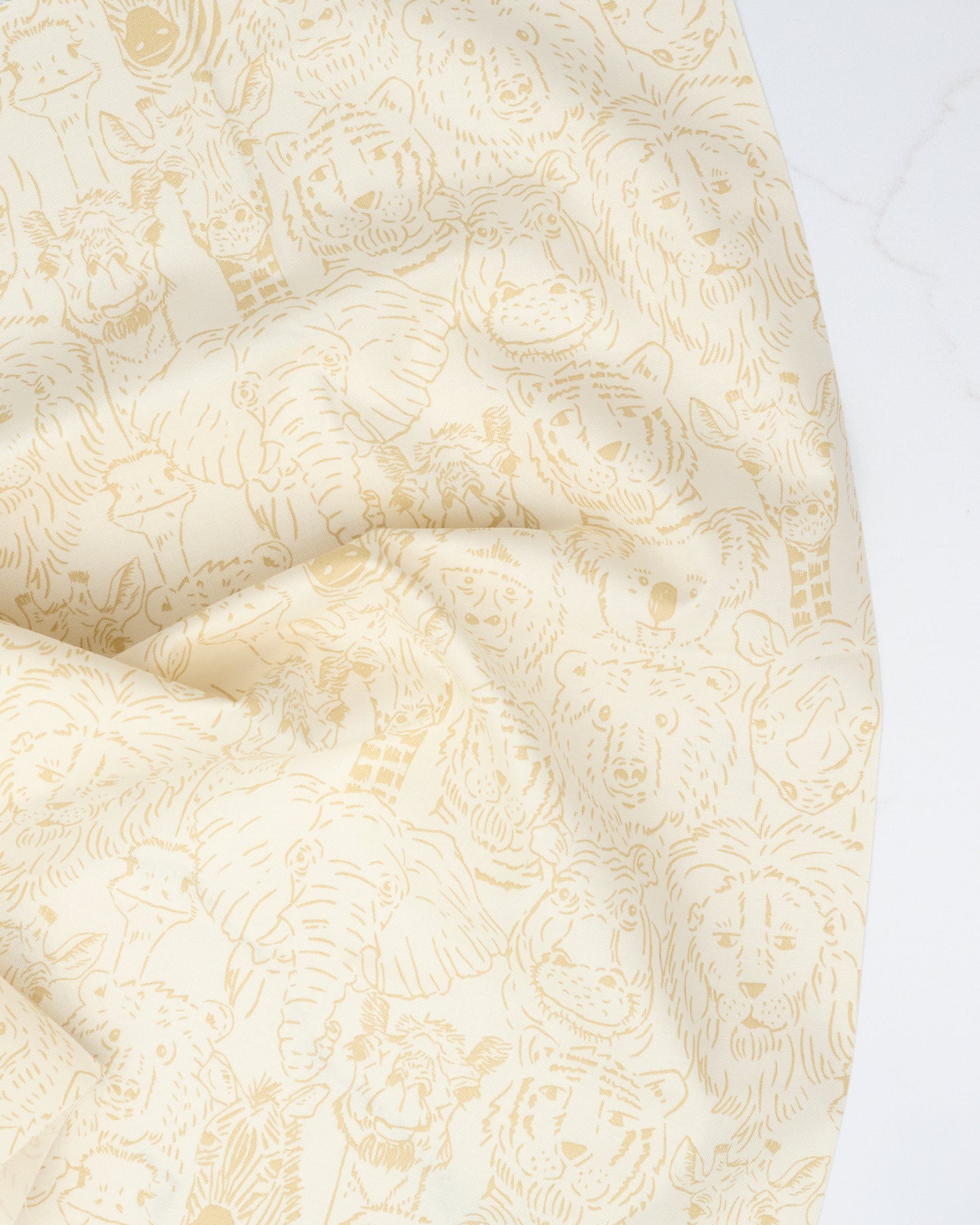 PREORDER - Animal Park Fun - One Big Happy Family - Stacy Iest Hsu - 20962 21 - Half Yard