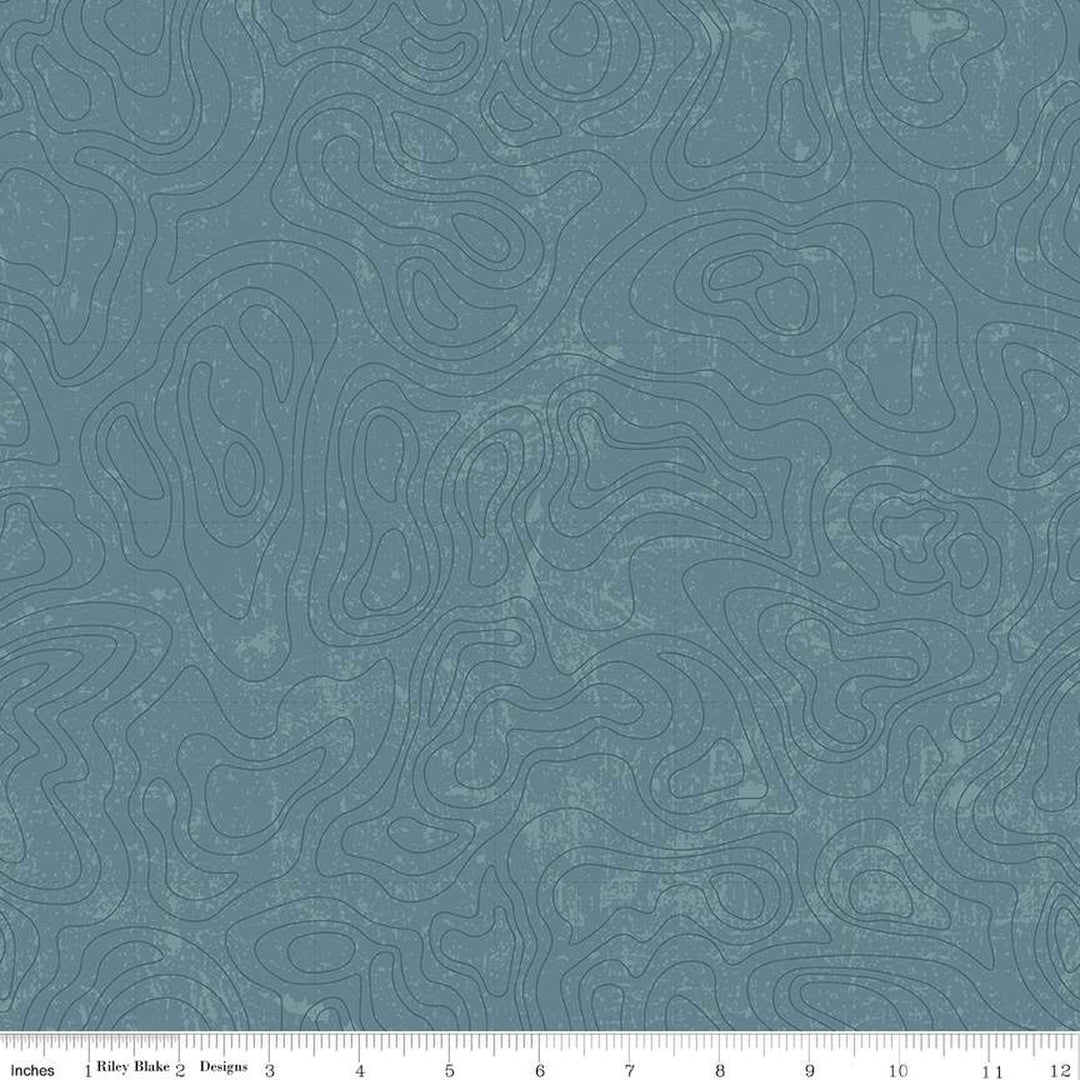 PREORDER - National Parks - Topographic in Blue - Anderson Design Group - C13293-BLUE - Half Yard