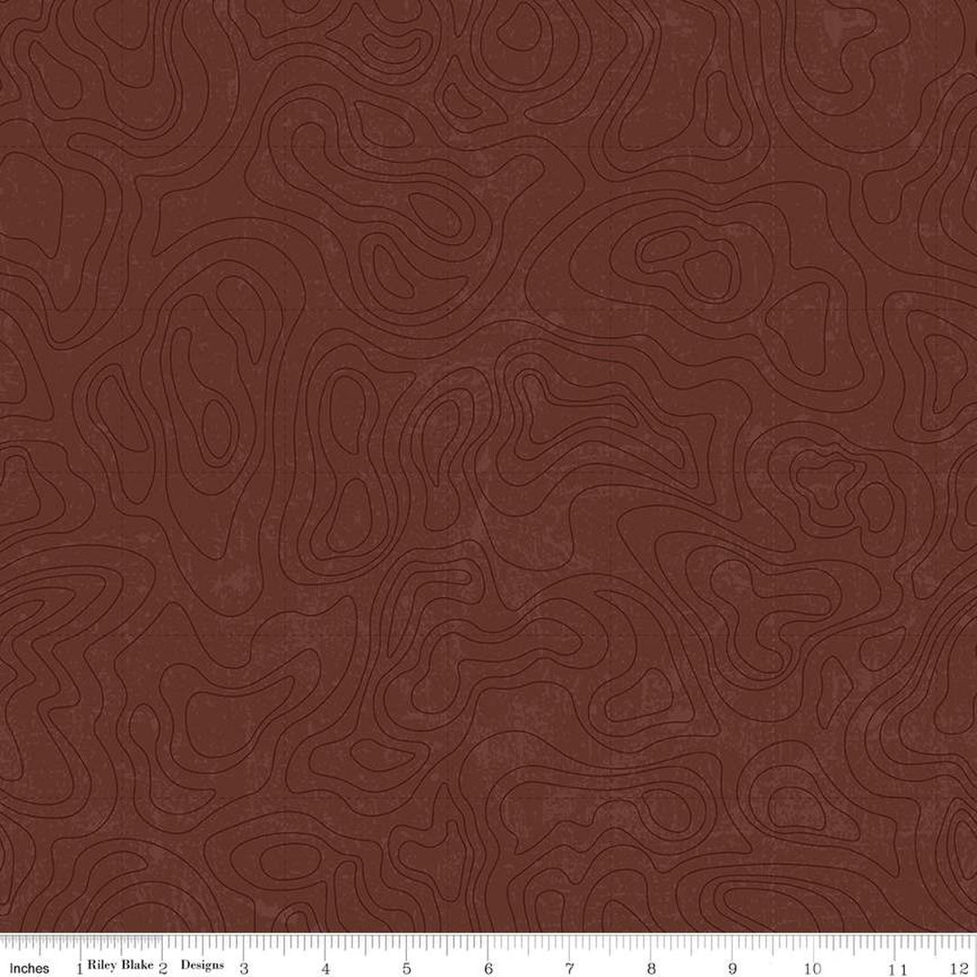 PREORDER - National Parks - Topographic in Brown - Anderson Design Group - C13293-BROWN - Half Yard