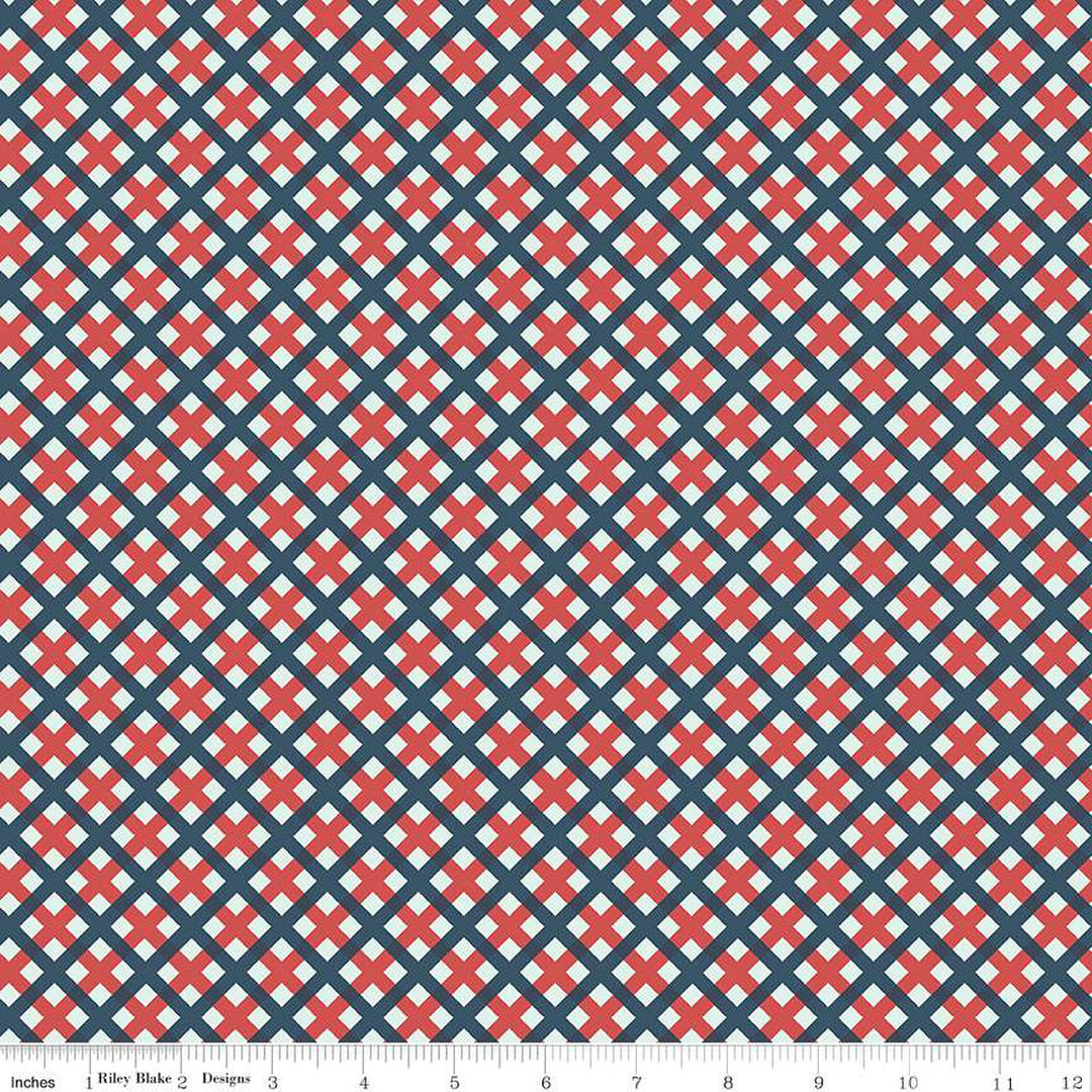 PREORDER - Sweet Freedom - Gingham Picnic Multi - C14417R-MULTI - Half Yard