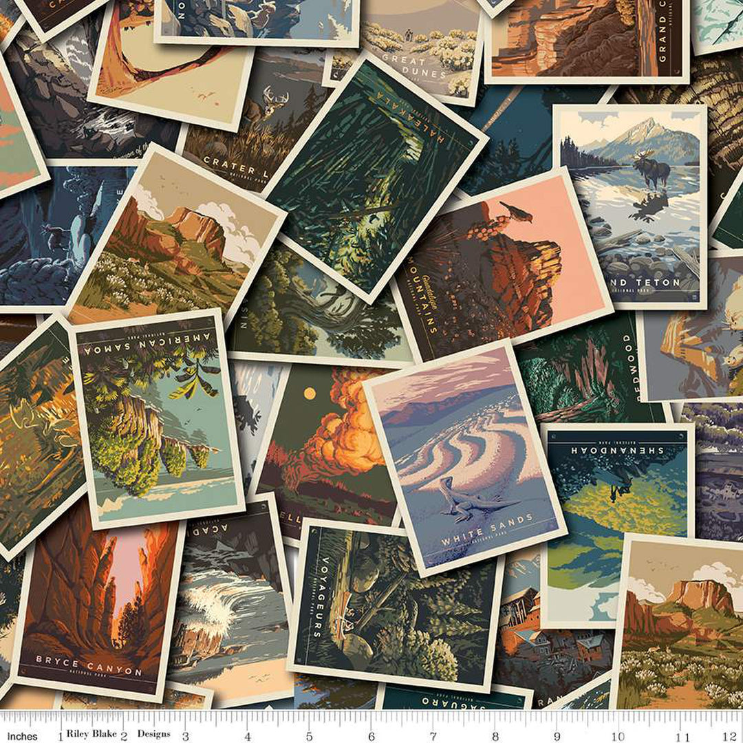 PREORDER - National Parks - Postcard Toss in Multi - Anderson Design Group - CD13290-MULTI - Half Yard