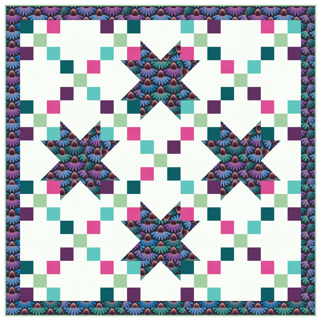 New Quilt on the Block - Anna Maria Horner/Bella Solids Quilt Kit - Fabric Only - TWAR_NQOTB_AMBS