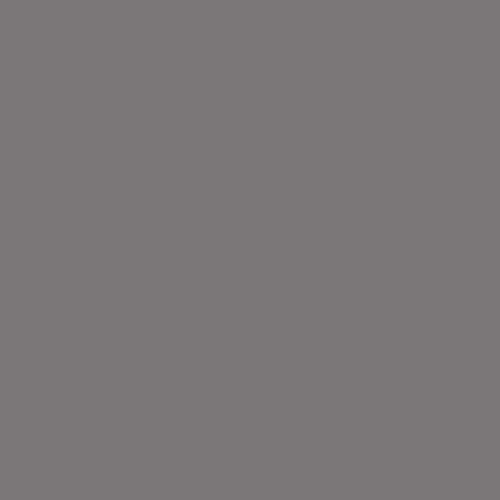 Pure Solids - Steel - Art Gallery - PE480 - Half Yard