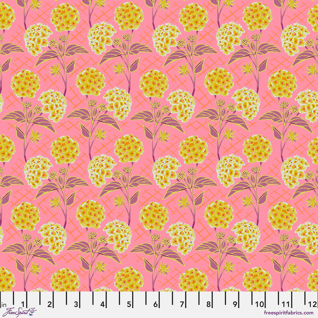 PREORDER - Our Fair Home - Trellis in Peach - PWAH213.PEACH - Half Yard