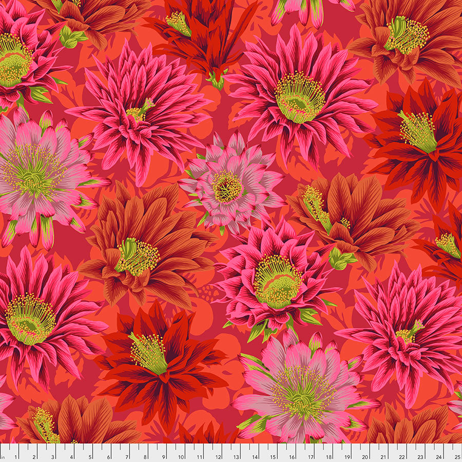 Cactus Flower in Red - Philip Jacobs for the Kaffe Fassett Collective