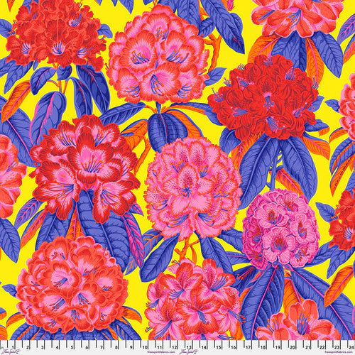 Rhododendrons Hot - Kaffe Fassett Collective