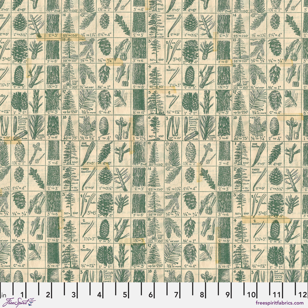 PREORDER - Holidays Past - Pine Chart in Green - Tim Holtz - PWTH204.GREEN - Half Yard