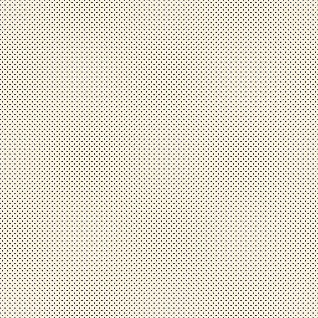 A closeup shot of the quilting fabric pattern called Mini Dot, designed by Alexia Abegg for Ruby Star Society, in the black on natural colorway. The SKU is RS4102 20.