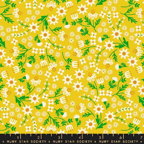 PREORDER - Favorite Flowers - Inflorescence in Golden Hour - Ruby Star Society - RS5146 11 - Half Yard