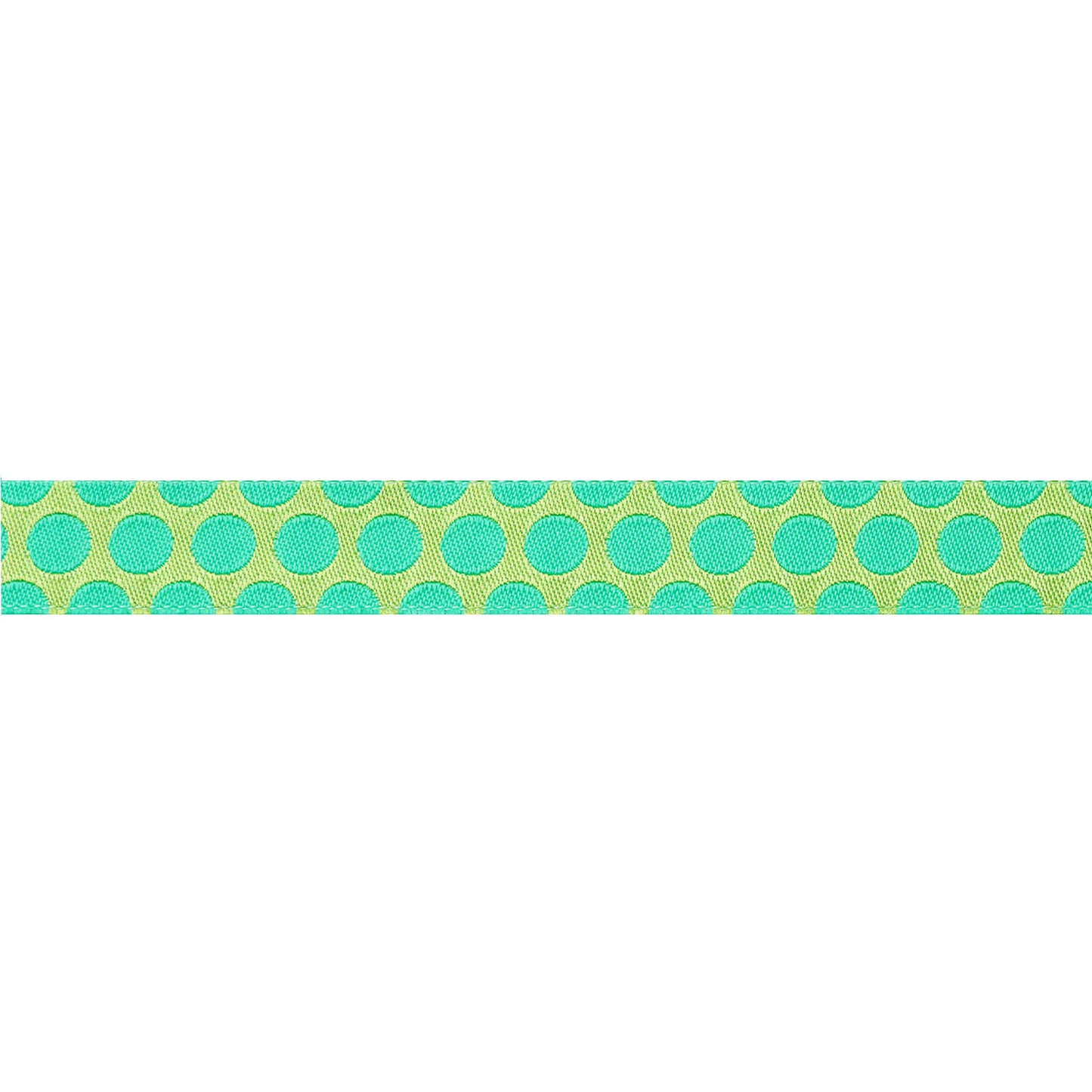 Renaissance Ribbons - Dinosaur Eggs in Mint - 5/8" width - Tula Pink Roar! - One Yard