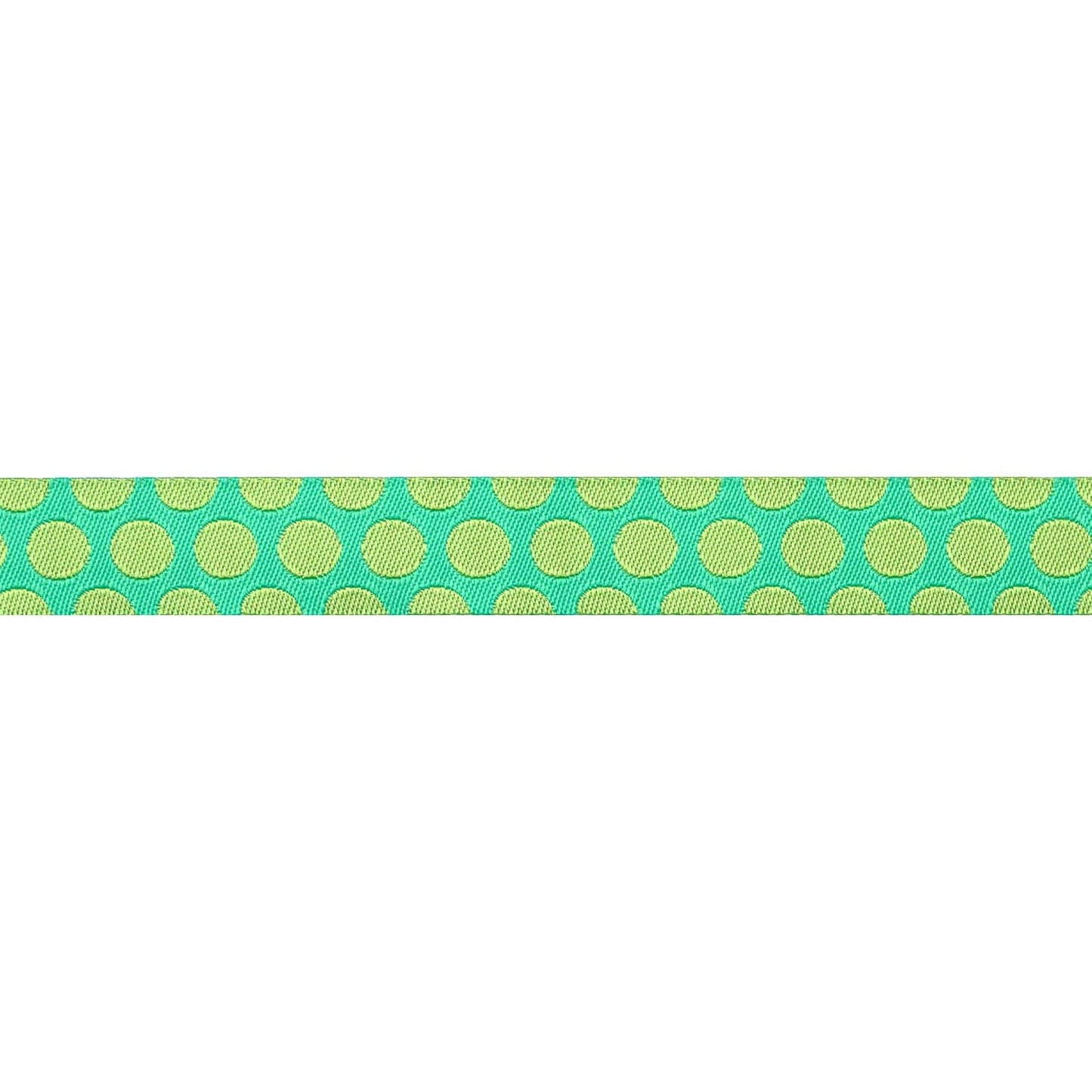 Renaissance Ribbons - Dinosaur Eggs in Mint - 5/8" width - Tula Pink Roar! - One Yard