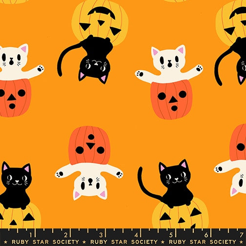 Boo To You Cheddar - Boo Valley by Ruby Star Society - Half Yard Fabric (Preorder)