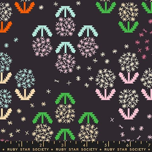 Float - Wishes Canvas in Soft Black - by Ruby Star Society (Preorder)