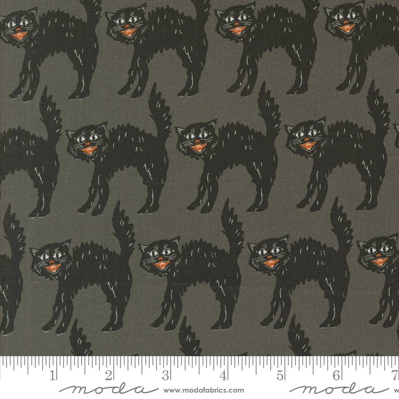 Home Sweet Haunt - Little Black Cat in Stone - Stacy Iest Hsu - 20915 12 - Half Yard