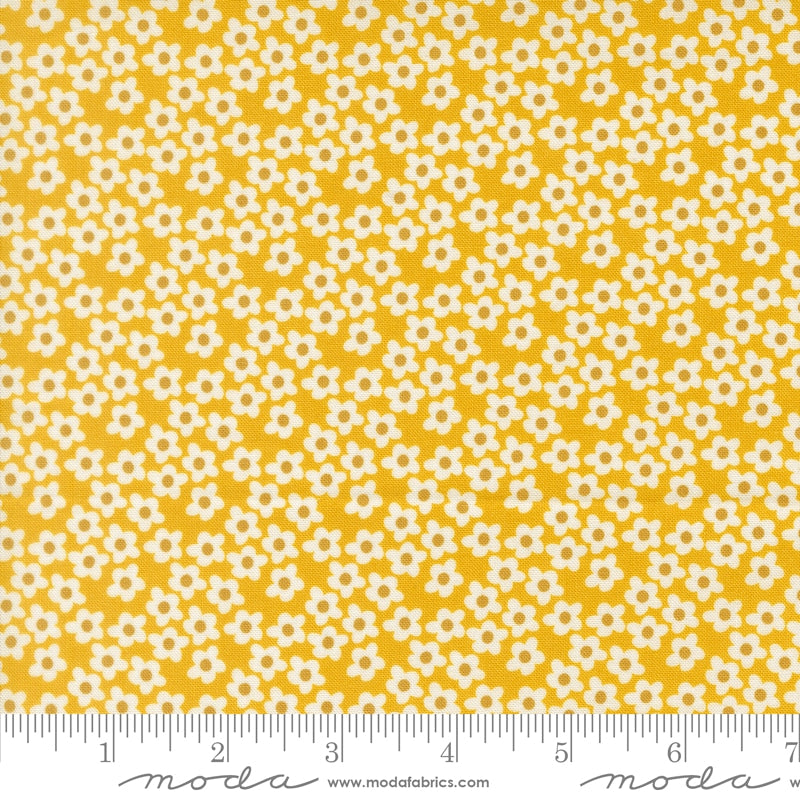 Popcorn Flowers in Orange - by Elizabeth Hartman for Moda (Preorder)