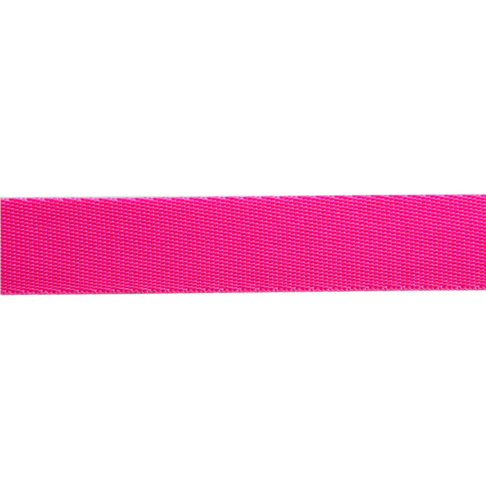 Renaissance Ribbons - 1" Neon Webbing in Cosmic - One Yard