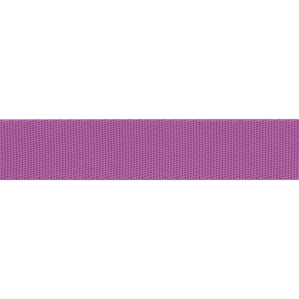 Renaissance Ribbons - 1" Neon Webbing in Mystic - One Yard