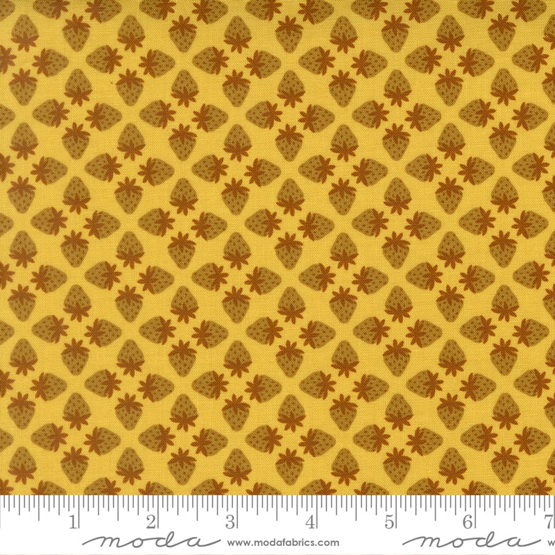 Toast and Jam Zest - by Elizabeth Hartman for Moda (Preorder)