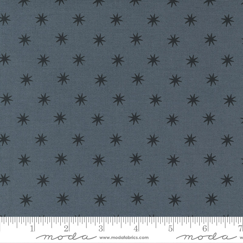 Hey Y'all - Lone Star in Graphite Black - Alli K Design for Moda Fabrics - 11515 24 - Half Yard