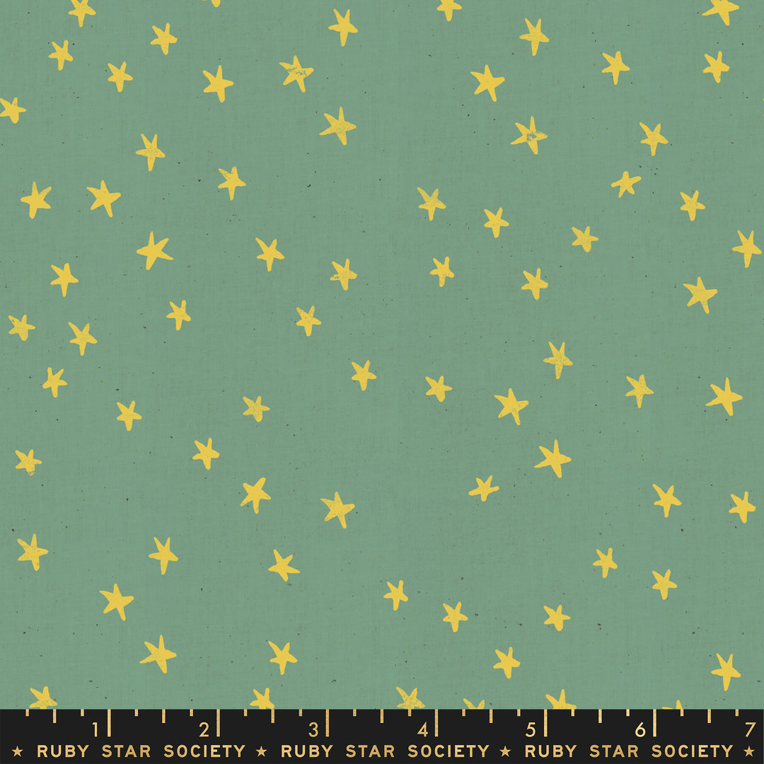 Starry - Starry in Aqua - Alexia Abegg for Ruby Star Society - RS4006 24 - Half Yard