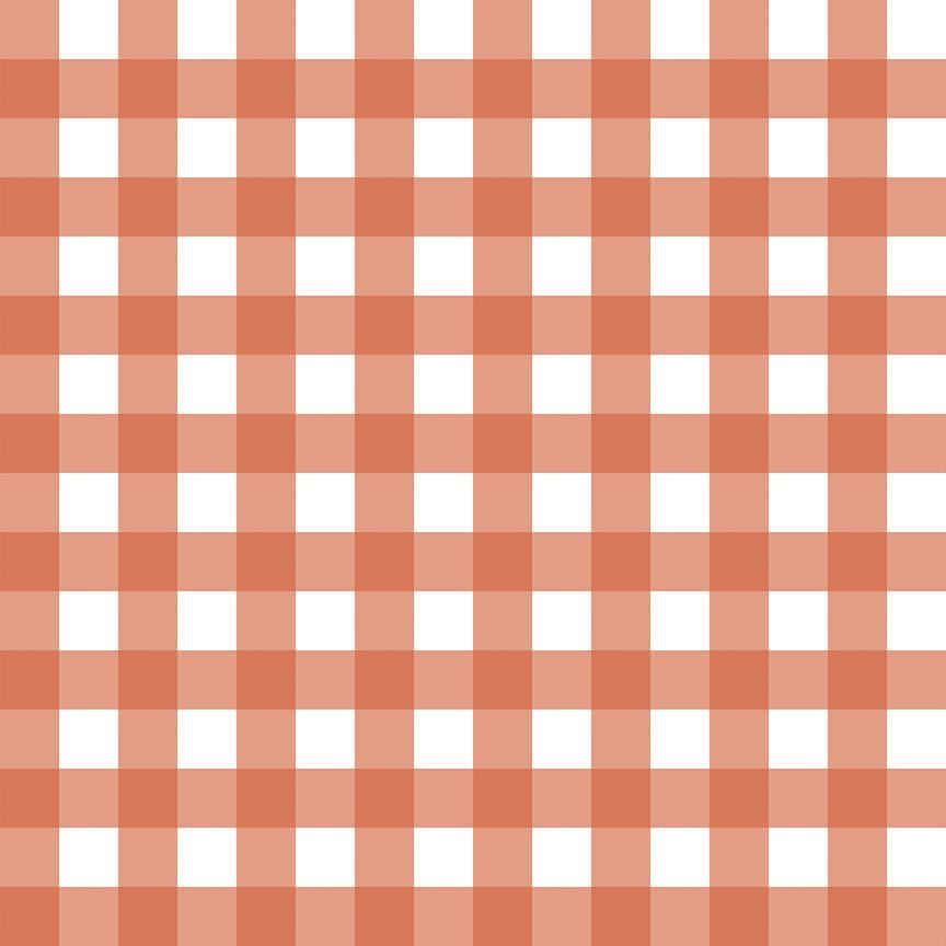 Rural Plaid in Ember quilting fabric, part of the Country Mouse fabric collection by Rae Ritchie (SKU: STELLA-DRR3255 EMBER)