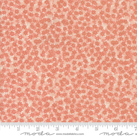Cotton quilting fabric pattern called 'Floral Phase in Carnation'. Part of the 'Bee Garden' fabric collection. Designed by Gingiber for fabric company Moda. SKU: 48417 16. 44-45 inch width.