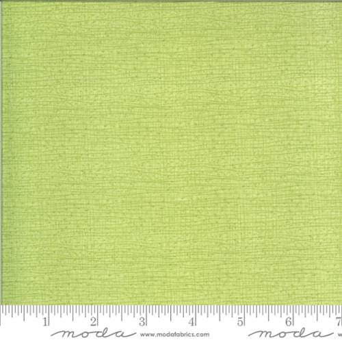 Cotton quilting fabric pattern called ''. Part of the 'Moda Basics' fabric collection. Designed by Moda Fabrics for fabric company Moda Fabrics. SKU: 48626 134. 44-45 inch width.