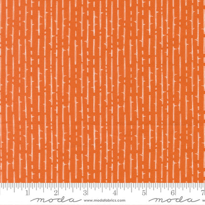Thorny Stripes Pumpkin Spice - Coven by Robin Pickens - Half Yard (Preorder)