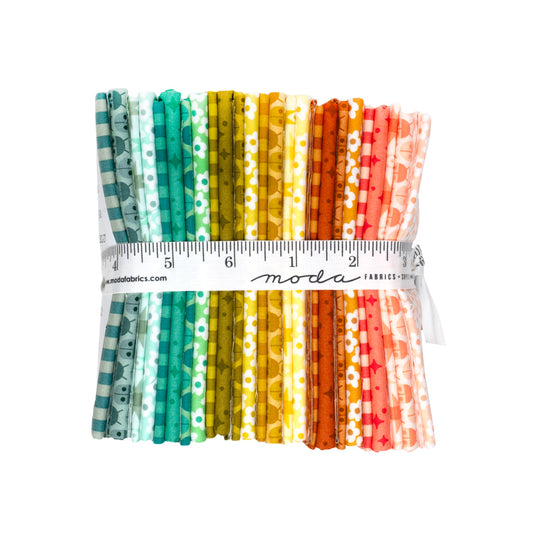 Popcorn Half Yard Bundle - Elizabeth Hartman - 25 pieces (Preorder)