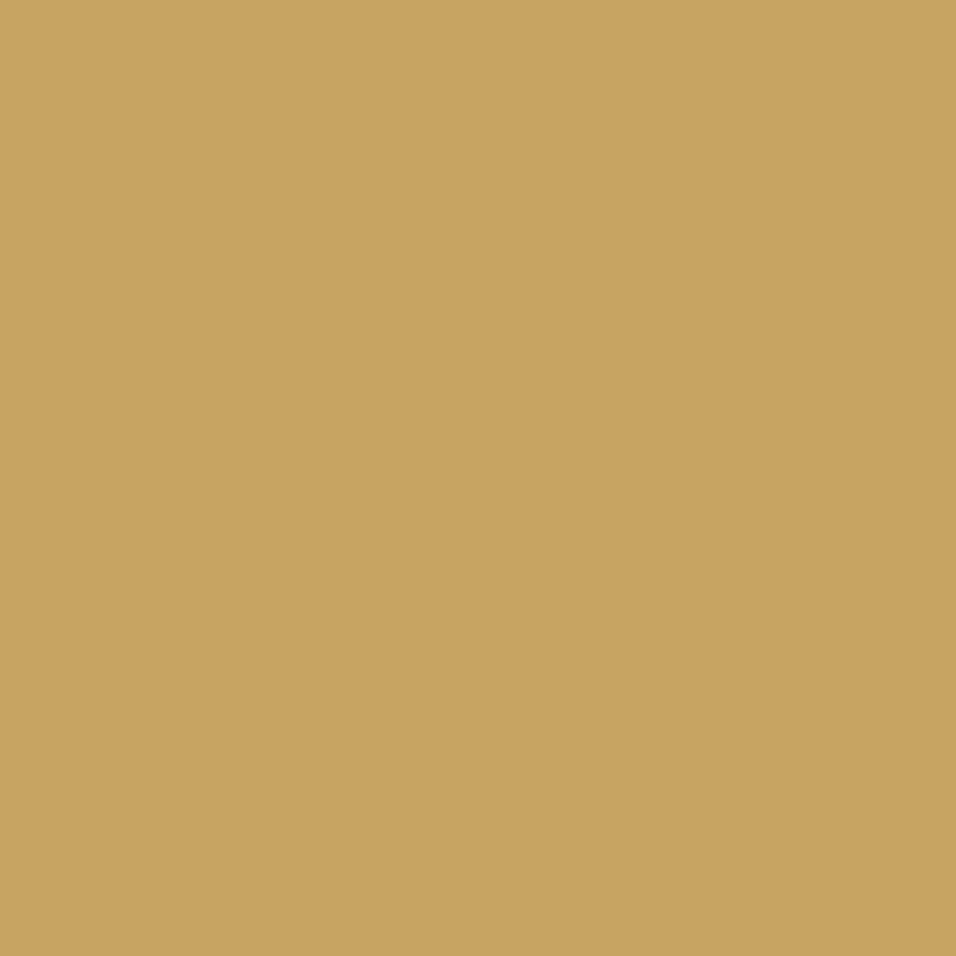 Caramel quilting fabric, part of the Ruby and Bee Solids fabric collection by Heather Ross + Annabel Wrigley (SKU: 51583-78)