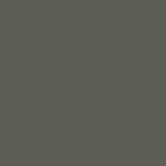Iron Green quilting fabric, part of the Ruby and Bee Solids fabric collection by Heather Ross + Annabel Wrigley (SKU: 51583-92)