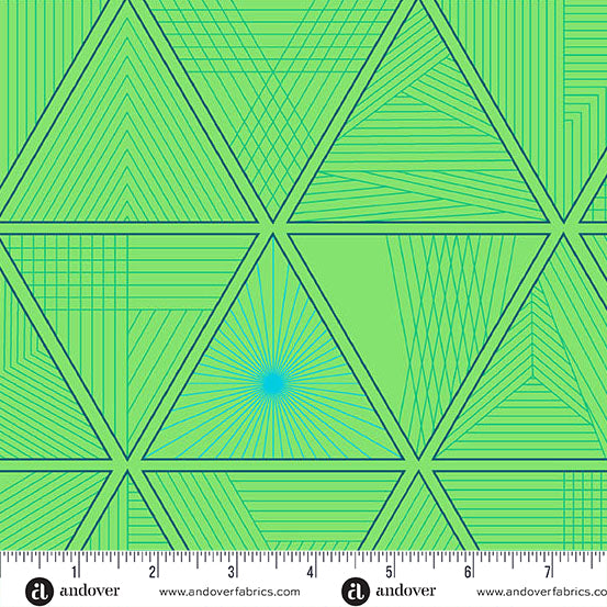 40 - Triangula - Goosebumps - Giucy Giuce - A-1391-G 