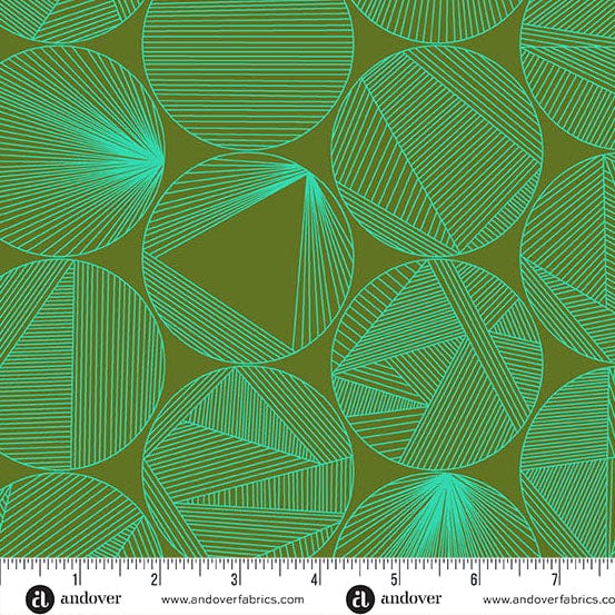 40 - Petri - Turtle Power - Giucy Giuce - A-1398-V