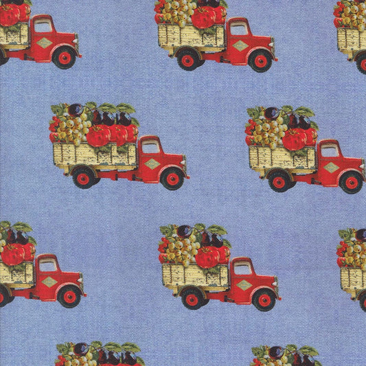 A closeup shot of the quilting fabric pattern called Farm to Market, designed by Cathe Holden, in the sky colorway. The SKU is 7475 13.
