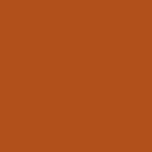 Colorworks Solids - Solid in Cinnamon Stick - Northcott Fabrics - 9000-373 - Half Yard
