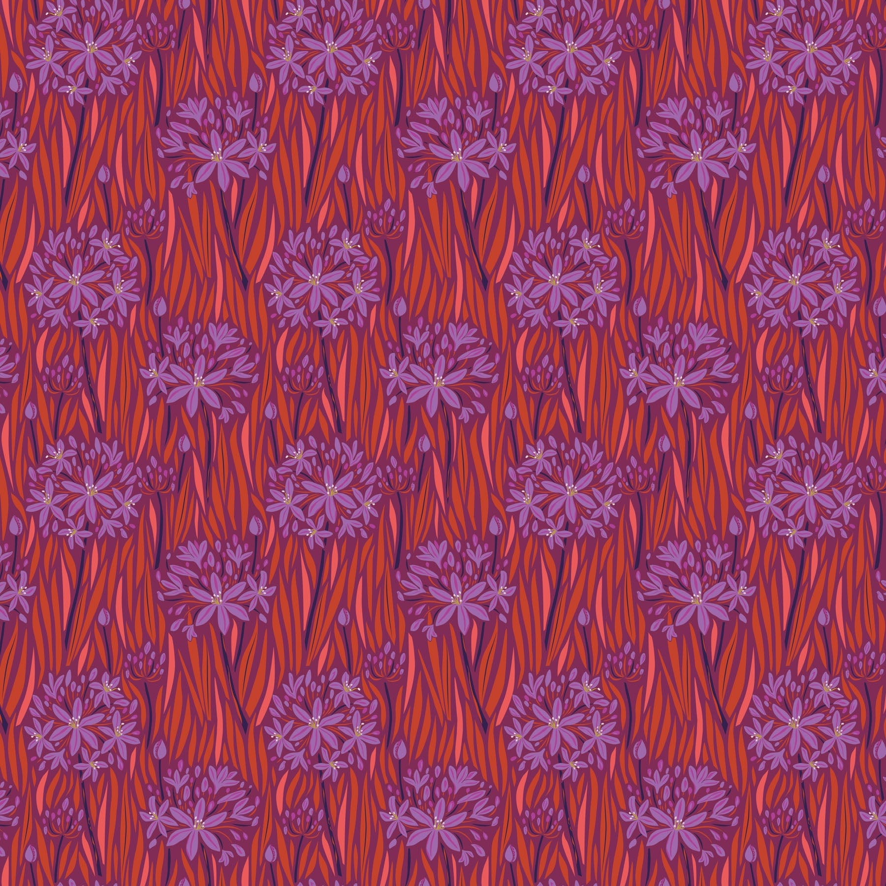 Wandering Eye - Agapantha in Warm - Kathy Doughty - 91066-56
