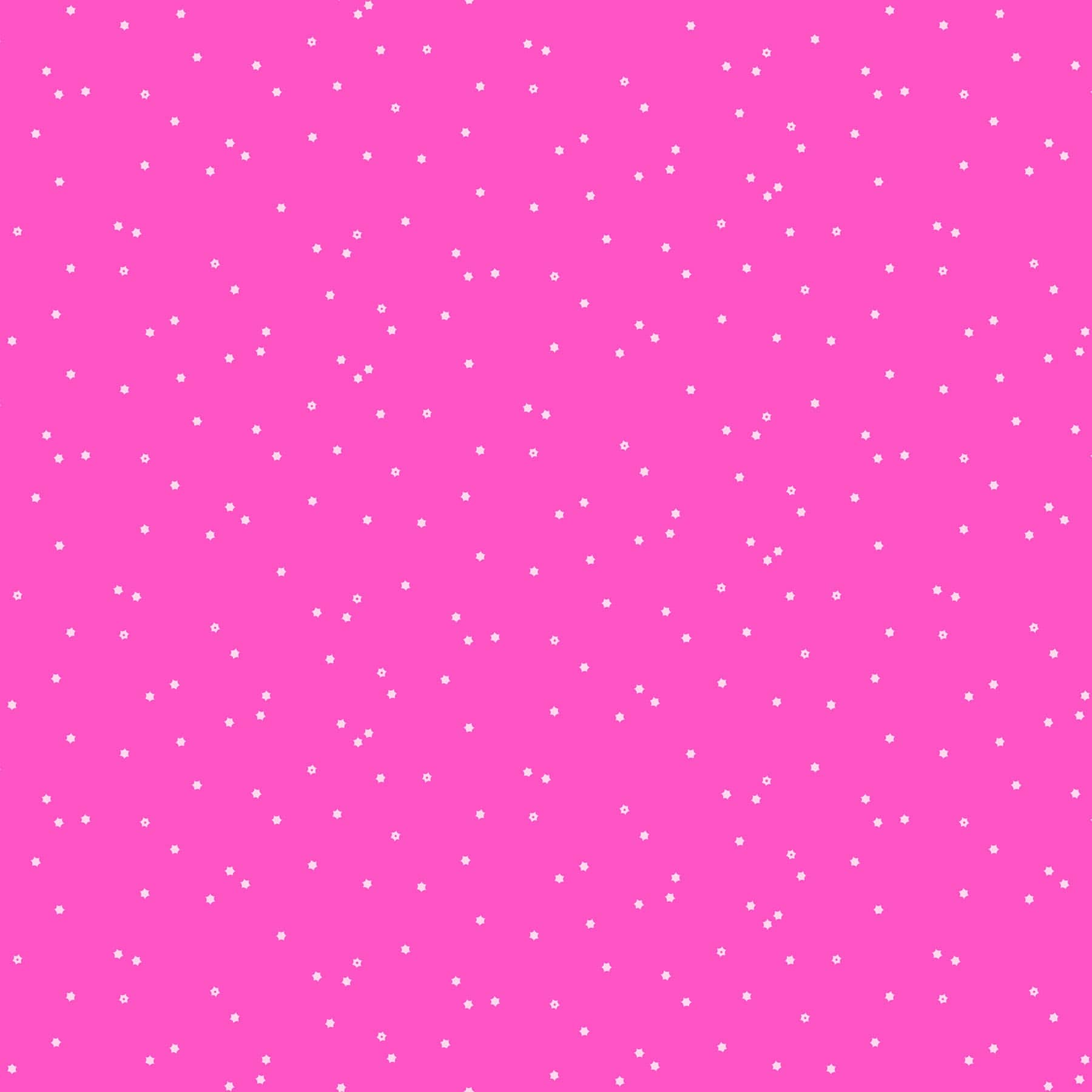 Seasons - Flowers in Pink - Ghazal Razavi - 92016-21 