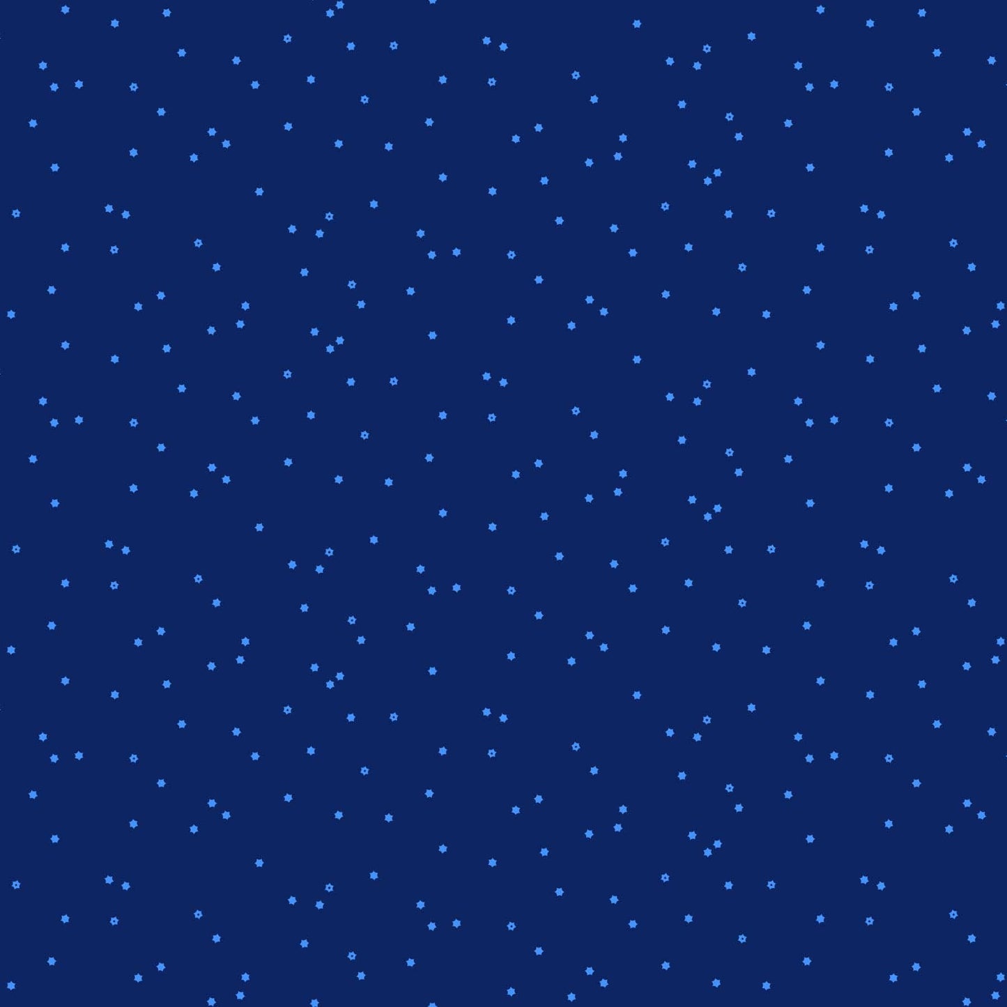 Seasons - Flowers in Navy - Ghazal Razavi - 92016-45