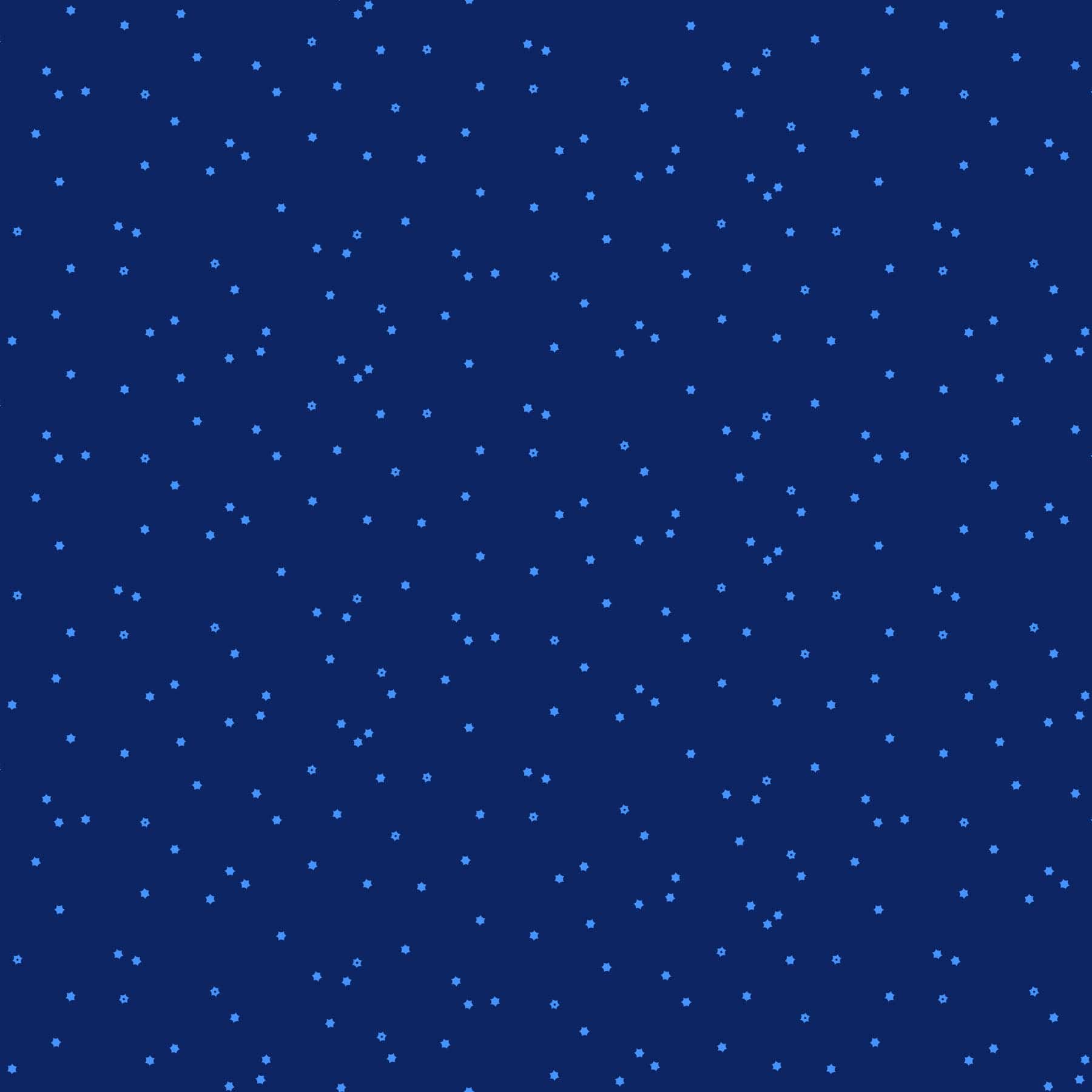 Seasons - Flowers in Navy - Ghazal Razavi - 92016-45