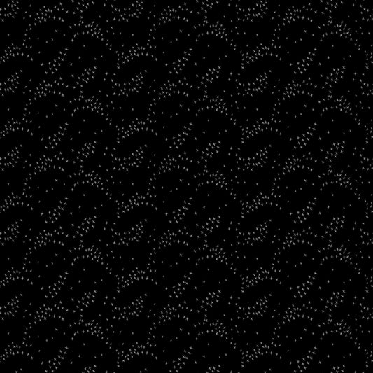 Seasons - Birds in Black - Ghazal Razavi - 92018-99