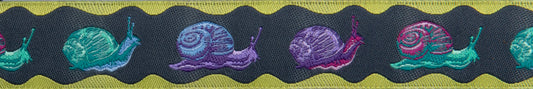 Down to Earth - Snailed It in Daybreak - 7/8" width - by Tula Pink - One Yard (Preorder)
