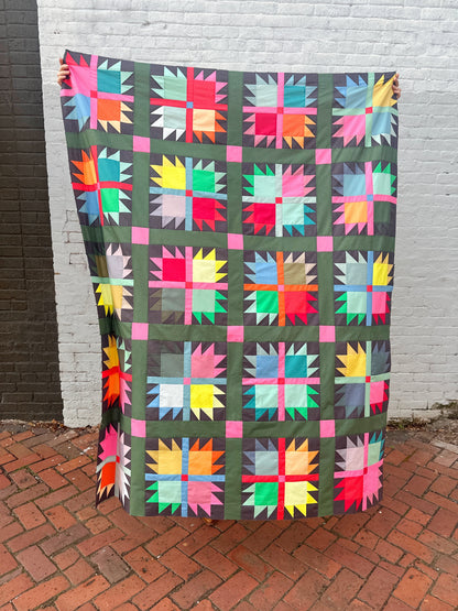 Frolic Quilt Kit with Ruby and Bee Solids