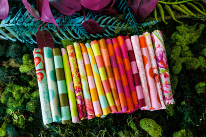 Down to Earth + True Colors Sticks and Stones WARM HALF YARD BUNDLE by Tula Pink, 18 pieces (Preorder)