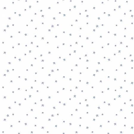 Cotton quilting fabric pattern called 'Star in Denim'. Part of the 'Bee Plaids' fabric collection. Designed by Lori Holt for fabric company Riley Blake Designs. SKU: C12039R-DENIM. 44-45 inch width.