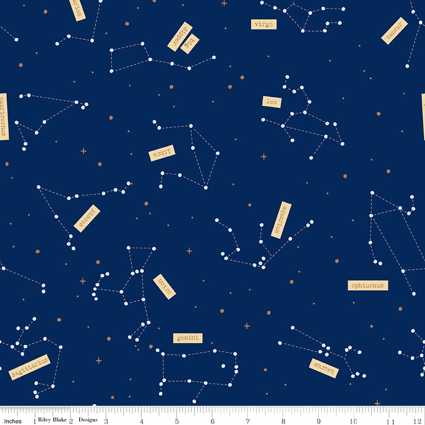 PREORDER - Outer Space By Nasa - Constellations in Navy - RBD Designs - C15483-NAVY - Half Yard