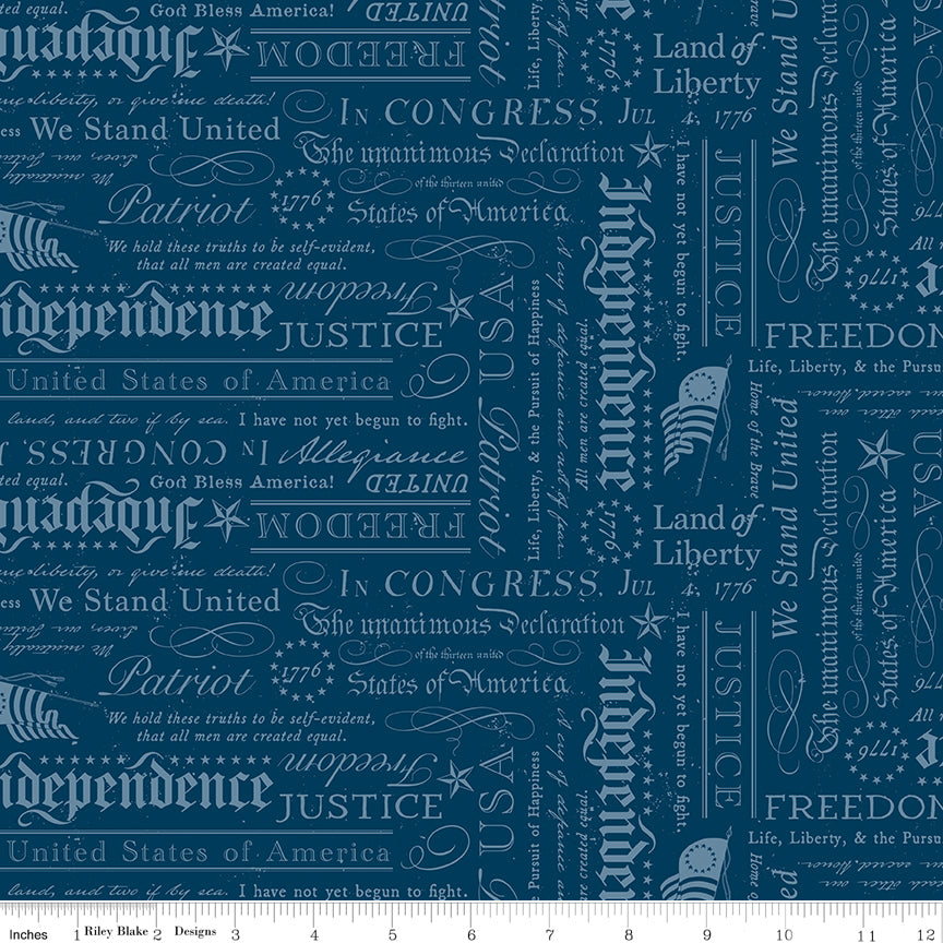 Declaration in Oxford quilting fabric, part of the Independence fabric collection by The RBD Designers (SKU: C17334-OXFORD)