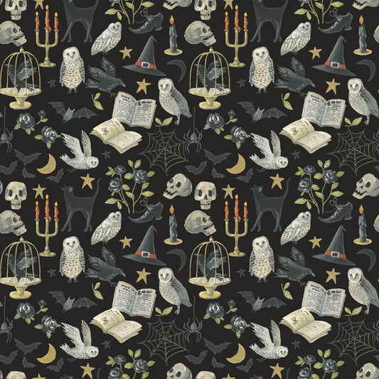 Witchy Vibes - Curiosities in Raven - Lisa Audit - CD19271-RAVEN - Half Yard (Preorder)